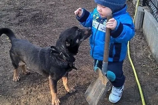 Nie ma drugiego takiego, czyli Maniuś na tropie do