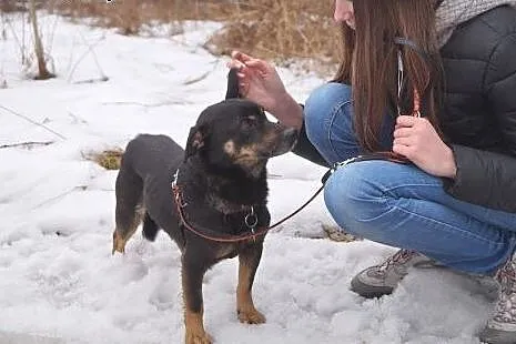 Nie ma drugiego takiego, czyli Maniuś na tropie do