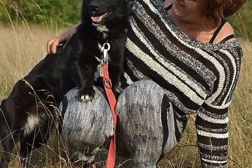 Kora, mieszkała przez kilka miesięcy w rowie. Jest