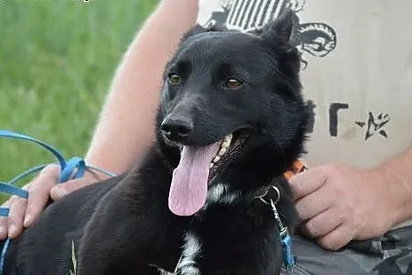 Kora, mieszkała przez kilka miesięcy w rowie. Jest