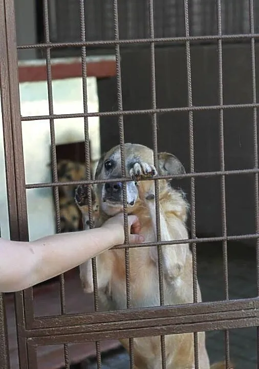 Tedi od 5 lat odsiaduje wyrok za miłość wierność i