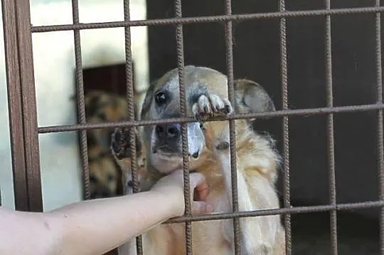 Tedi od 5 lat odsiaduje wyrok za miłość wierność i