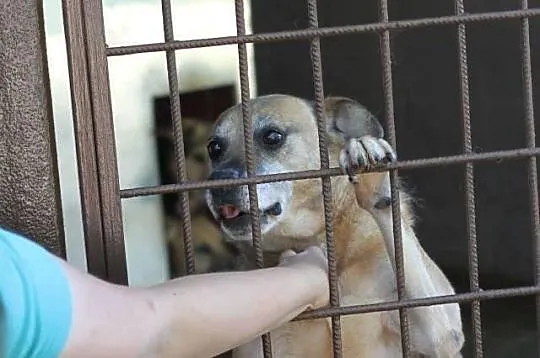 Tedi od 5 lat odsiaduje wyrok za miłość wierność i