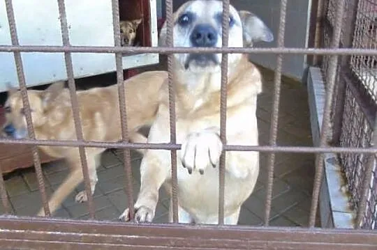 Tedi od 5 lat odsiaduje wyrok za miłość wierność i