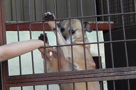 Tedi od 5 lat odsiaduje wyrok za miłość wierność i