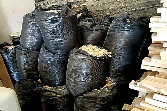 Suche wióra, wiórka świerkowe w workach 160l 240l