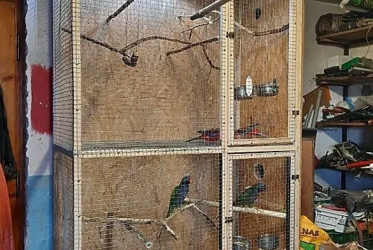 Klatki na ptaki papugi, Limanowa