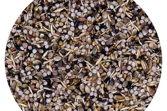 Goldfinches Major 208 1kg pokarm dla szczygłów