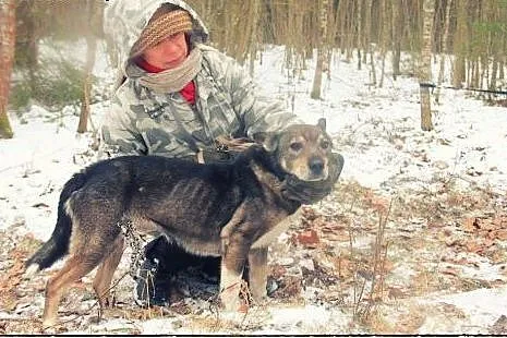 CZAKO pies którego nikt nie chce!,  wielkopolskie 