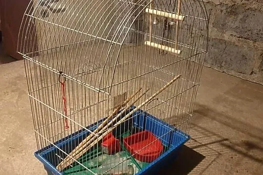 klatka dla kanarka, Śląskie, Zebrzydowice