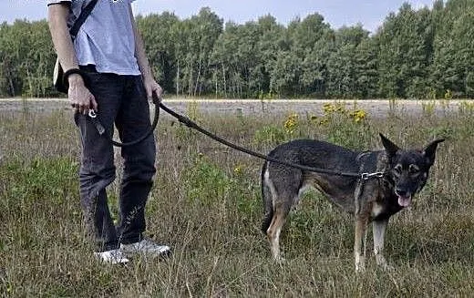 Sonia tak wiele już wycierpiała - czy znajdzie się