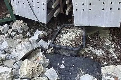 Klata dla kur niosek, Podkarpackie, Sonina