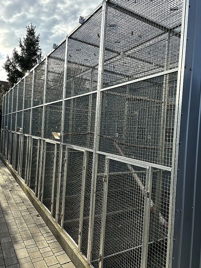 Woliera wylotowa 10x3x2,80, Małopolskie, Kłaj