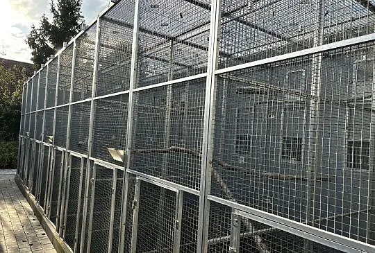 Woliera wylotowa 10x3x2,80, Małopolskie, Kłaj