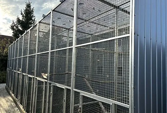 Woliera wylotowa 10x3x2,80, Małopolskie, Kłaj