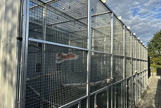 Woliera wylotowa 10x3x2,80, Małopolskie, Kłaj