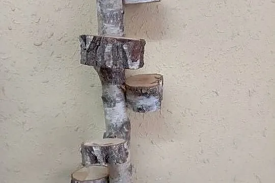 Zestaw zabawek dla papug, ptaków, Śląskie, Blachownia