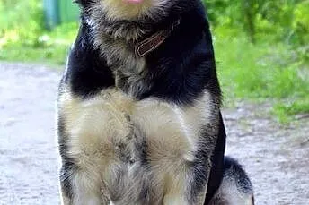 Bako - prawdziwy klejnot :)