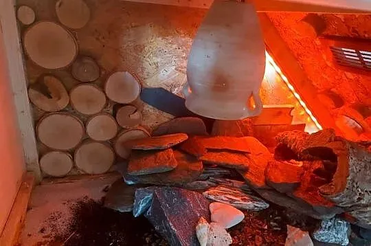 Gekon lamparci terrarium, Opolskie, Opole
