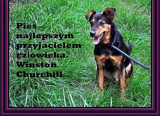 Czy znajdziesz dla mnie miejsce w swoim sercu?, d