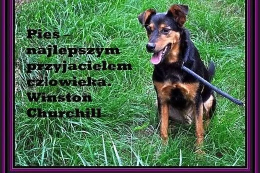 Czy znajdziesz dla mnie miejsce w swoim sercu?,  d