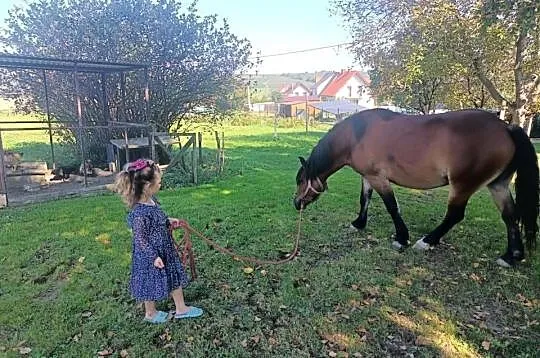 Sprzedam, Małopolskie, Pogorzany