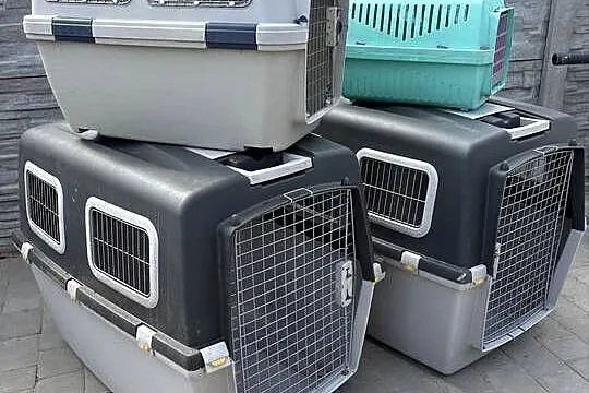 Transporter dla zwierzaków.Rozne rodzaje.Transport.Wysyłka, Wielkopolskie, Ostrów Wielkopolski