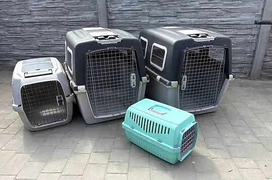 Transporter dla zwierzaków.Rozne rodzaje.Transport.Wysyłka, Wielkopolskie, Ostrów Wielkopolski