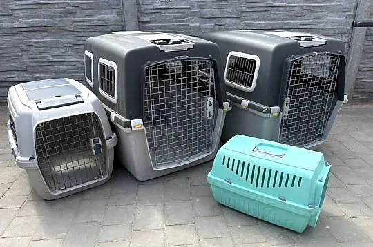 Transporter dla zwierzaków.Rozne rodzaje.Transport.Wysyłka, Wielkopolskie, Ostrów Wielkopolski
