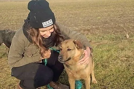 Zwykły niezwykły kundelek Hyzio- przyjazny psiak d