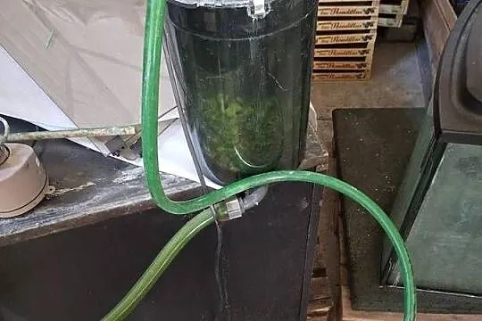 Filtr do akwarium