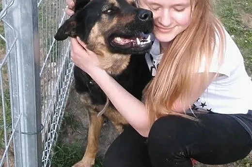 Zulka do adopcji,  wielkopolskie Poznań