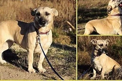 FIONA - bardzo dlugo czeka na Twoja milosc,  mazow
