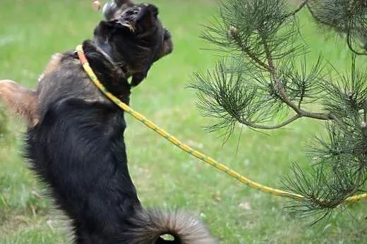 Pełna życia i energii Lidzia,  śląskie Gliwice