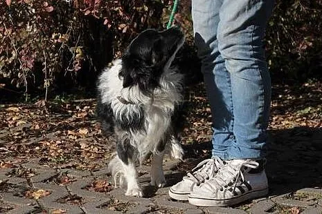 Jego opiekunka zmarła, został sam!,  mazowieckie W