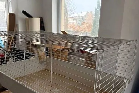 Klatka 96 x 57cm dla śwniki, chomika ...