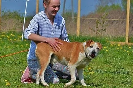 Przeszedł w życiu więcej niż niejeden psiak a mimo