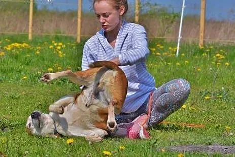 Przeszedł w życiu więcej niż niejeden psiak a mimo