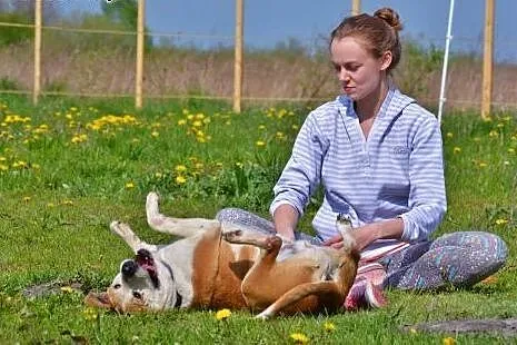 Przeszedł w życiu więcej niż niejeden psiak a mimo