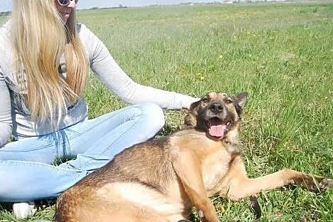 Kochany, ładny owczarek bardzo potrzebuje domu!,  