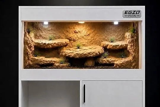Terrarium dla żółwia greckiego gekona lamparciego