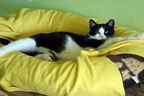 Delikatna kruszynka Sabinka ,  łódzkie Łódź