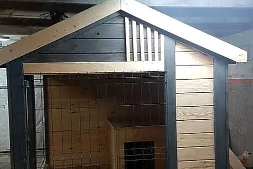 Kojec dla psa buda klatka box, Warmińsko-mazurskie, Iława
