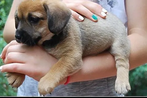 Ok. 2,5 mies. malutka ZOSIA czeka na swojego człow