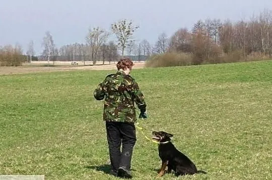 Chciałbym opuścić mury schroniska i mieć cudowny domek, Podlaskie, Białystok