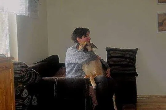 Owczarkowata łagodna Sara do adopcji!