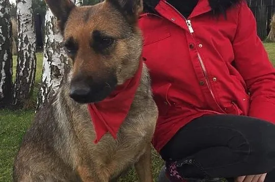 Mama, grzeczna, łagodna sunia szuka kochającego do