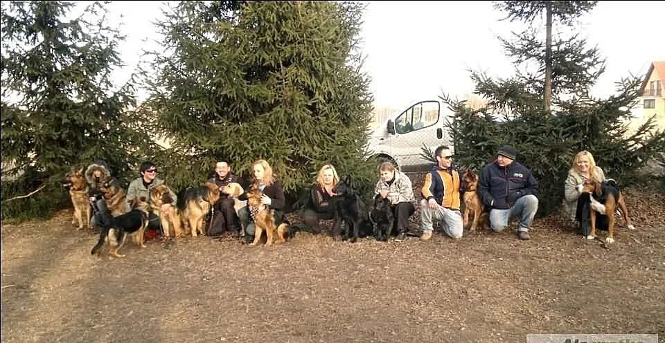 Ośrodek Tresury Psów Activ Dogs zaprasza na kurs