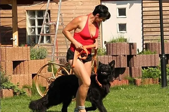 Ośrodek Tresury Psów Activ Dogs zaprasza na kurs