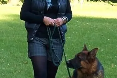 Ośrodek Tresury Psów Activ Dogs zaprasza na kurs